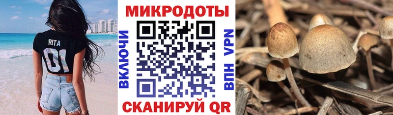 это как зайти  Азов  Галлюциногенные грибы ЛСД 